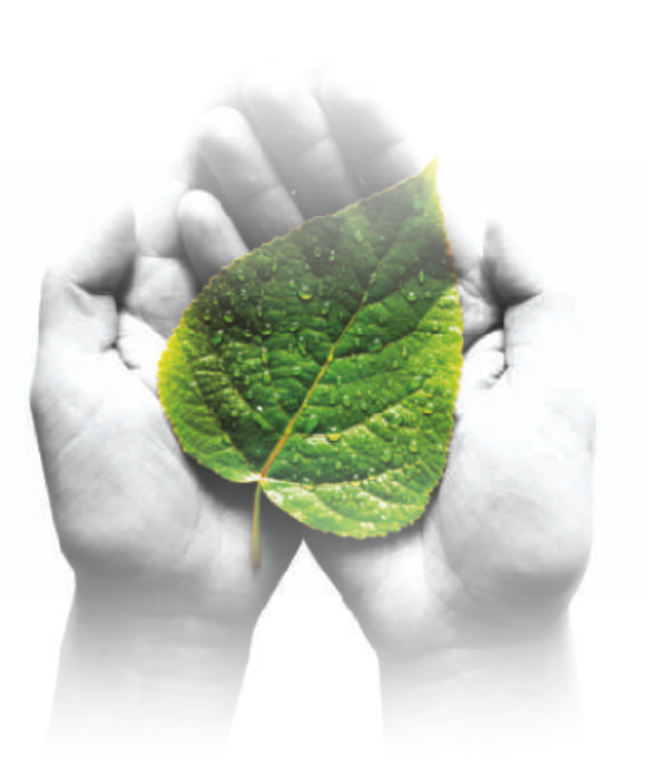 Sustainable manufacturing